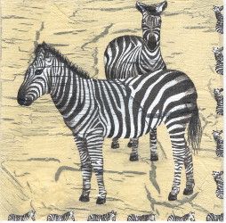 Glckwunschkarte Zebra