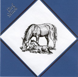 Pferdekarte 752a-blau