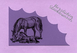 Pferdekarte 759